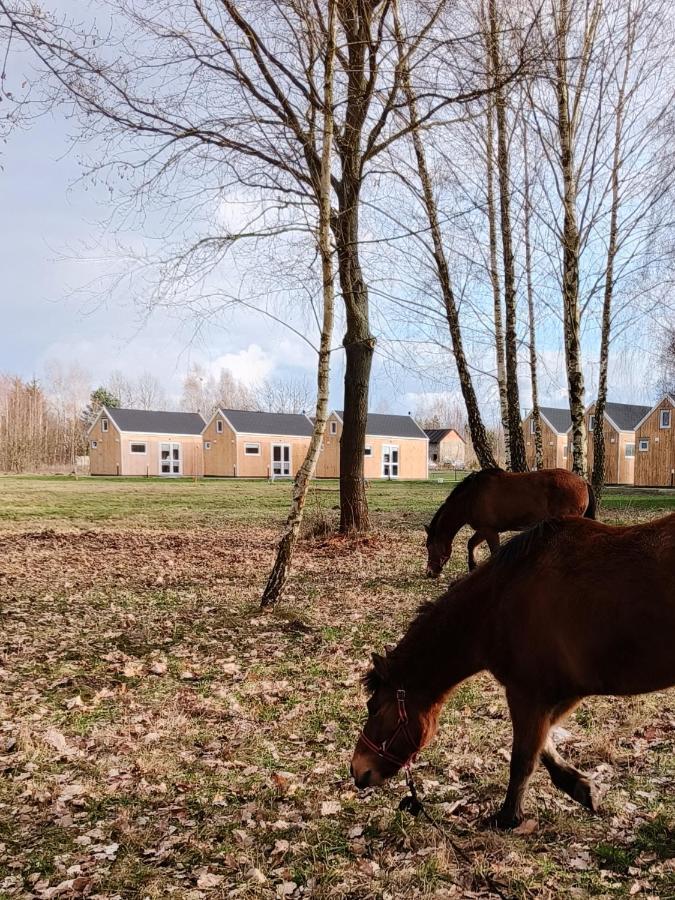 Grabce-Towarzystwo Zagajnik Country Camp Obok Suntagoヴィラ エクステリア 写真
