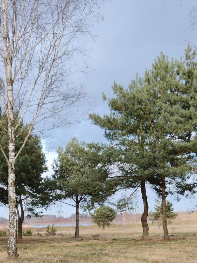 Grabce-Towarzystwo Zagajnik Country Camp Obok Suntagoヴィラ エクステリア 写真